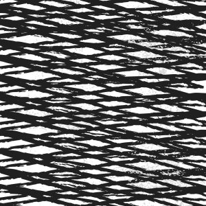 Black-and-White Impact-Brush-Stoke-Striped