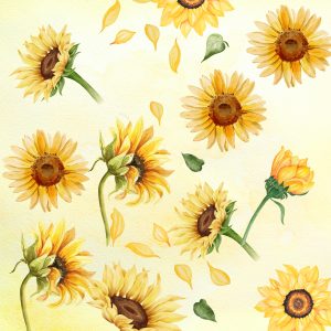 Photographic-Floral-Yellow-And-Green-Sunflowers