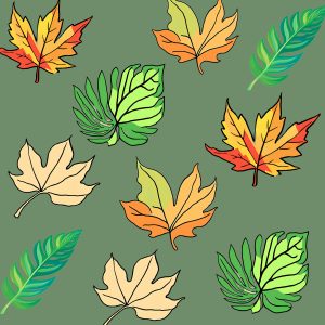 Green-And-Yellow-Fall-Leaf